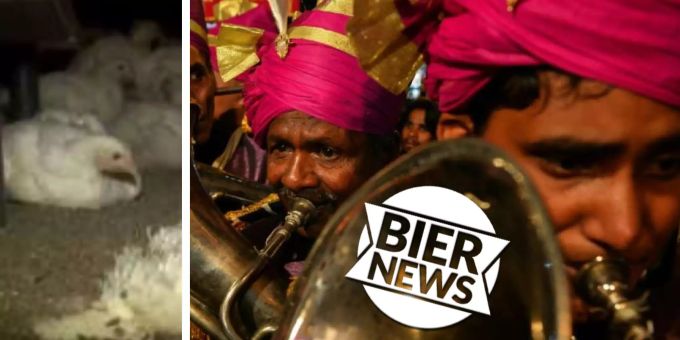 Die Hühner sollen ab der lauten Musik der Hochzeitsgesellschaft gestorben sein.