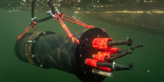 Plankton-Aufnahmen der Unterwasserkamera Aquascope im Greifensee dienten als Trainingsmaterial für die Deep-Learning-Modelle. Plankton-Aufnahmen der Unterwasserkamera Aquascope im Greifensee dienten als Trainingsmaterial für die Deep-Learning-Modelle.