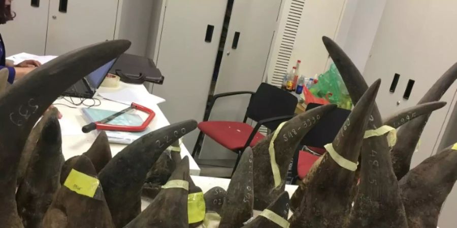 Geschmuggelte Nashorn-Hörner