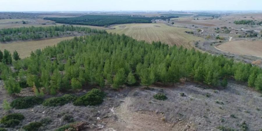 Blick auf die Überreste einer rund 3200 Jahre alten Festung, die israelische Forscher in der Nähe von Kiriat Gat gefunden haben. Foto: Emil Aladjem/Israel Antiquities Authority/dpa