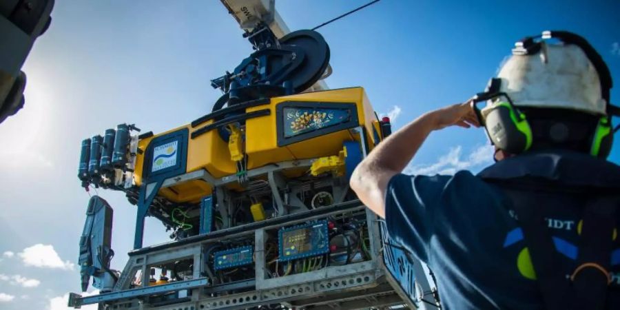 Meeresforscher haben zum ersten Mal seit 120 Jahren ein riesiges, freistehendes Korallenriff in Australiens weltberühmtem Great Barrier Reef entdeckt. Foto: -/Schmidt Ocean Institute/dpa