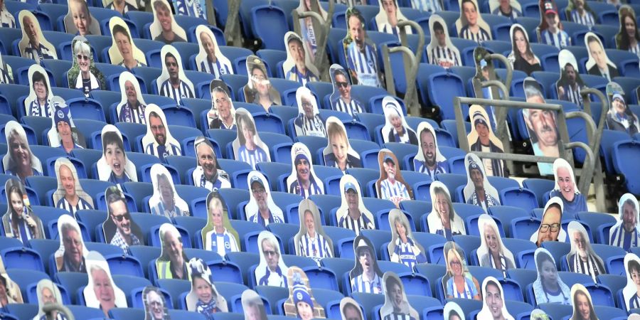 Brighton & Hove Albion