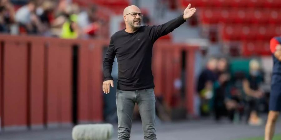 Muss versuchen die Abgänge zu kompensieren: Leverkusens Trainer Peter Bosz. Foto: Rolf Vennenbernd/dpa