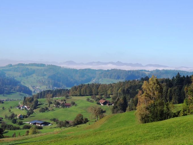 Das grüne Wynental. Wynental Aargau Süd Martin Widmer