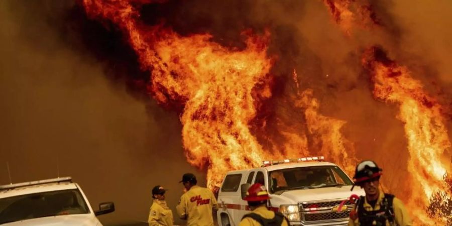 Feuerwehrleute versuchen, das Feuer an der Butts Canyon Road im Lake County unter Kontrolle zu bringen. Foto: Noah Berger/AP/dpa