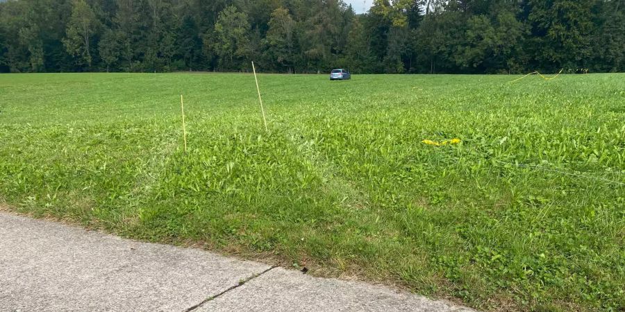 Kürbiskauf geht schief