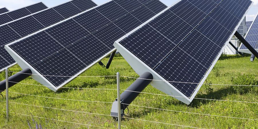 Solarpark in Winterthur: Der Bundesrat schätzt, dass im Rahmen der Solaroffensive für mehr Winterstrom bis zu 200 Grossprojekte ausgearbeitet werden könnten. (Archivbild)