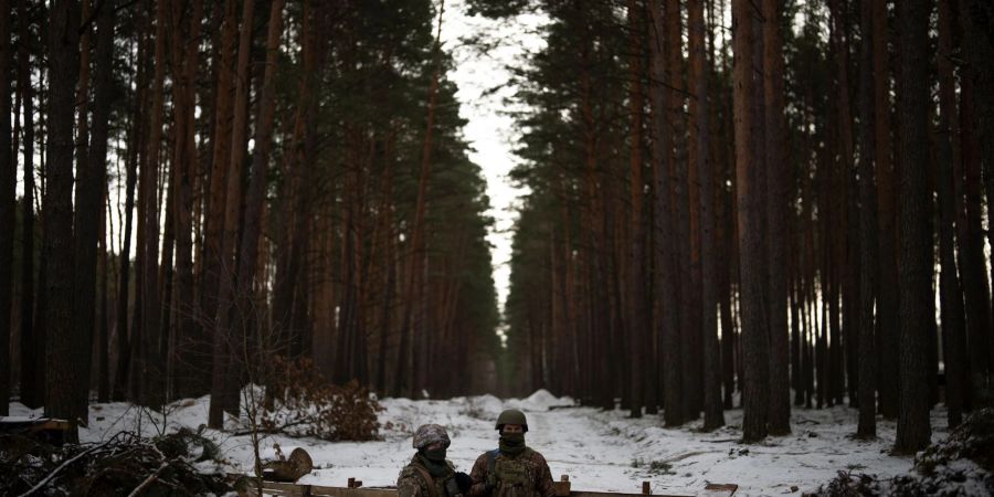 Seit fast einem Jahr kämpft die ukrainische Armee gegen den russischen Angriff.