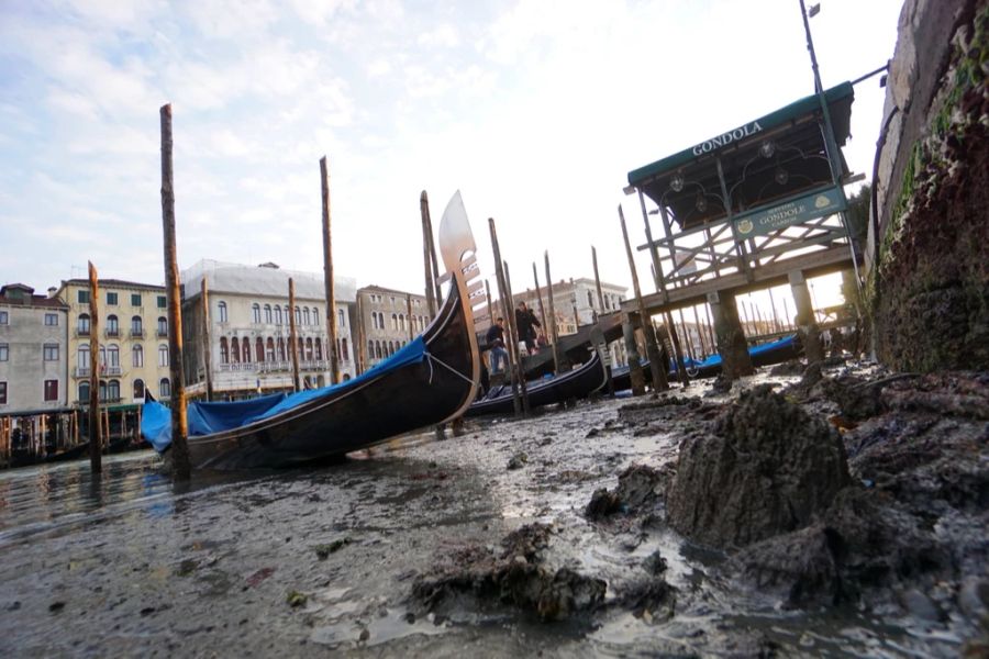 In Venedig ist das Wasser zu niedrig.