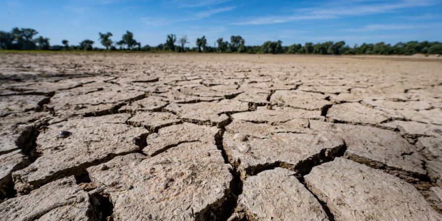 Folgen eines heissen und trockenen Sommers: eine Sandbankin der Donau.