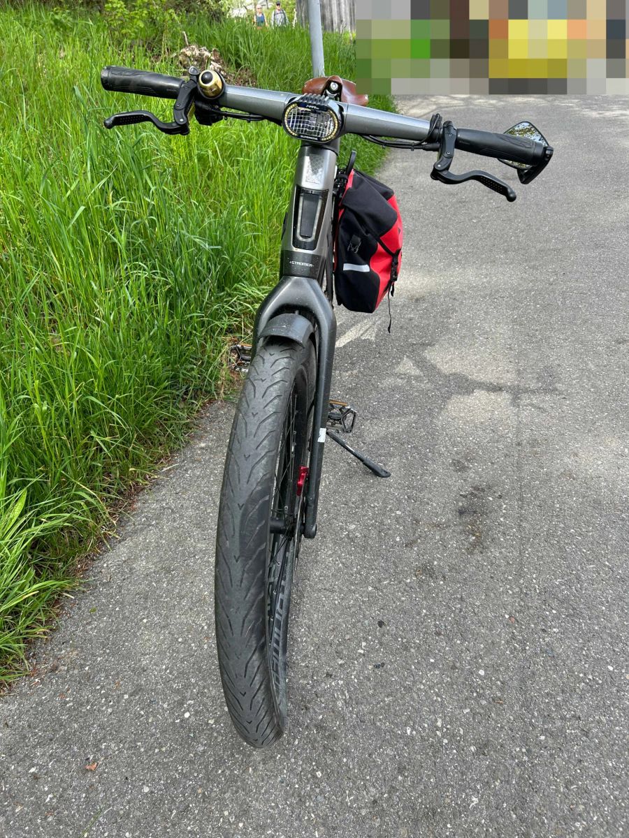 E-Bikelenker