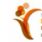 Avatar von Verein Special Games