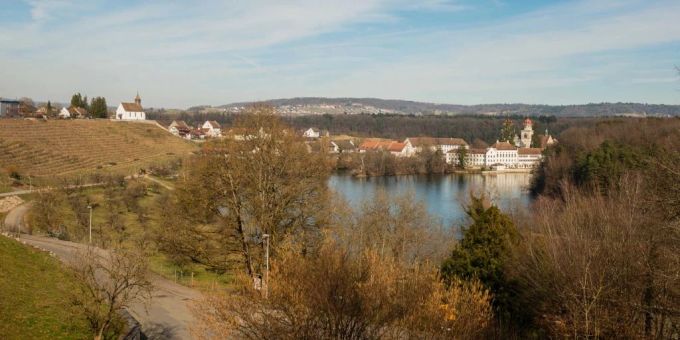 Blick auf Rheinau ZH: Am gegenüberliegenden Rheinufer wurde am vergangenen Freitag die Leiche eines 31-jährigen Schweizers gefunden. jestetten
