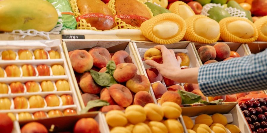 Kernobst Steinobst Juli Hochsaison