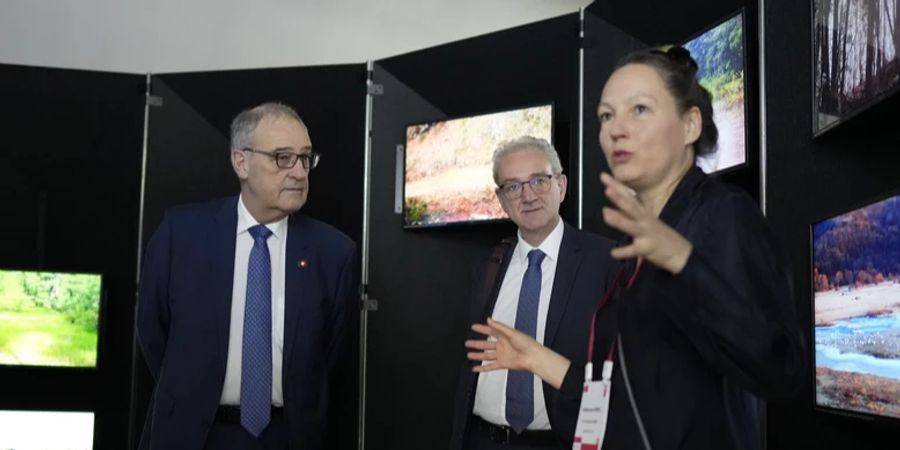Bundesrat Guy Parmelin