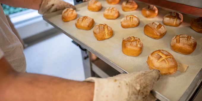 Eine Person schiebt ein Blech mit Brötchen in den Ofen.