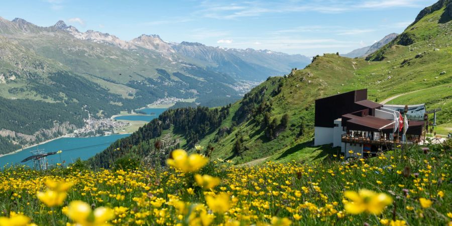 Bergpanorama in Sils