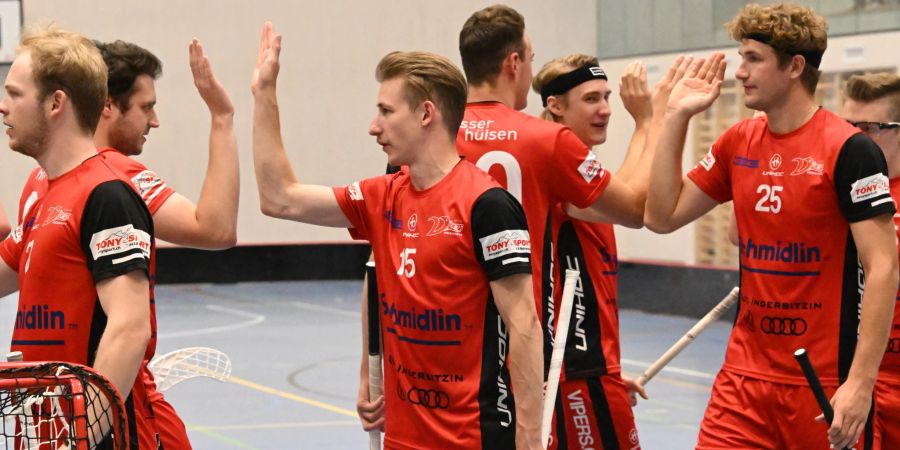 VIPERS InnerSchwyz