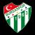 Logo Bursaspor