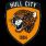 hull-city