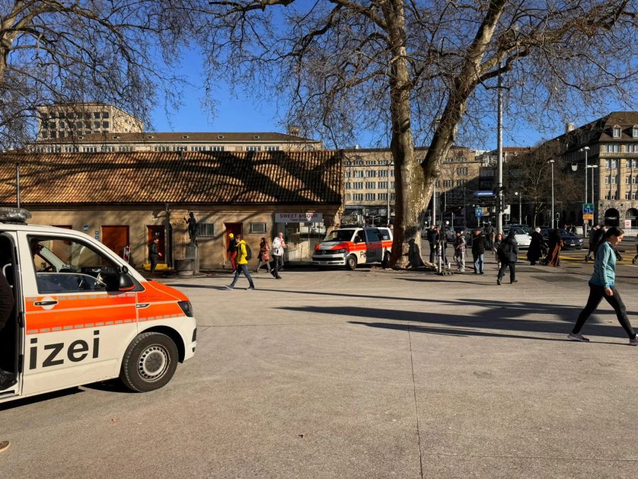 Vor dem Landesmuseum in Zürich wollen sich die Skeptiker heute Samstag zu einer unbewilligten Demo treffen.