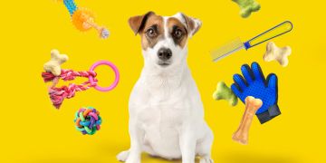 Hund mit Zubehör