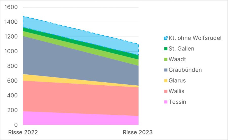 Besonders deutlich ist der Rückgang der Wolfsrisse in den Kantonen Graubünden und Glarus. Weil sehr viele Faktoren mit hineinspielen, geht man in Kantonen ohne Rudel von ungefähr gleichbleibenden Zahlen aus.