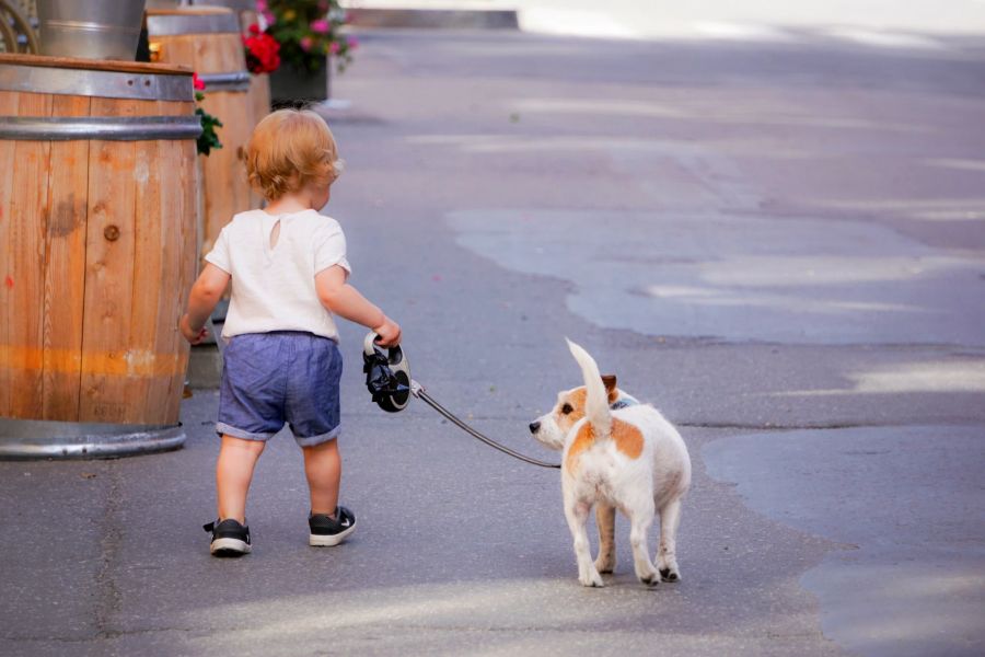 hunde kinder bewegung