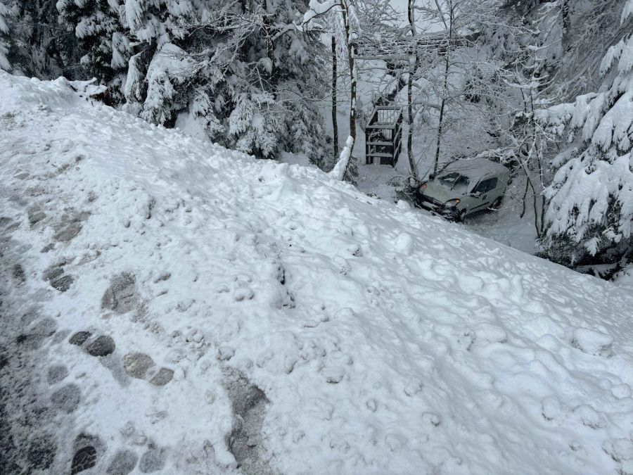 Der Fahrer wurde blieb unverletzt.