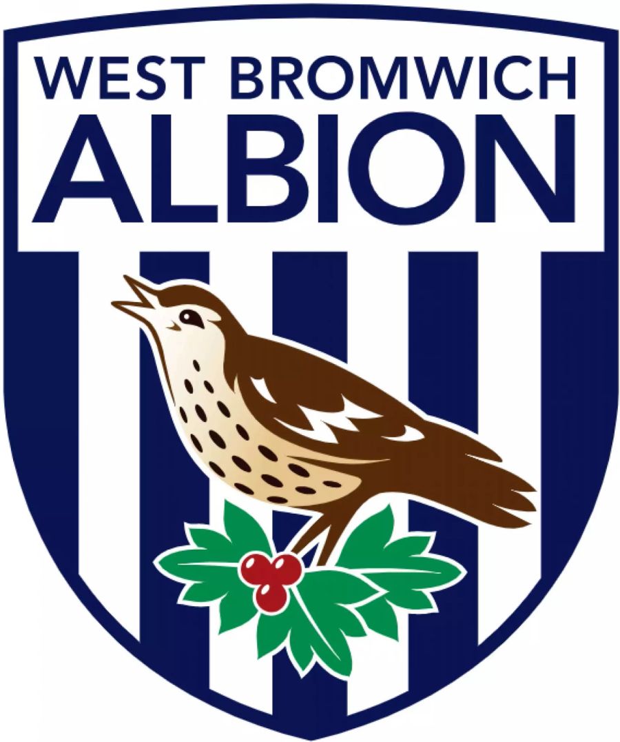 West Bromwich Albion F.C., 1878 gegründet, 9 nationale Titel, zurzeit in der Championship.