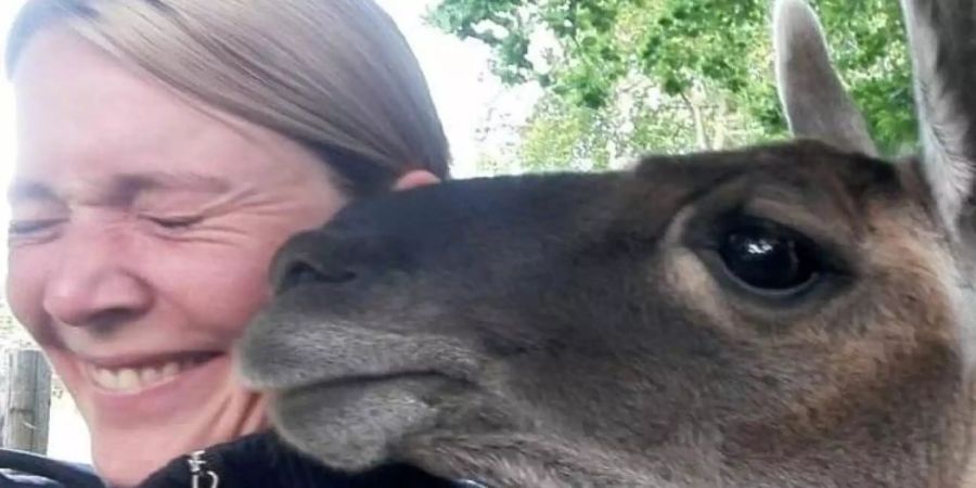 Ein Lama zwischen zwischen einer Polizistin und einem Polizisten in Krefeld. Foto: Polizei Krefeld