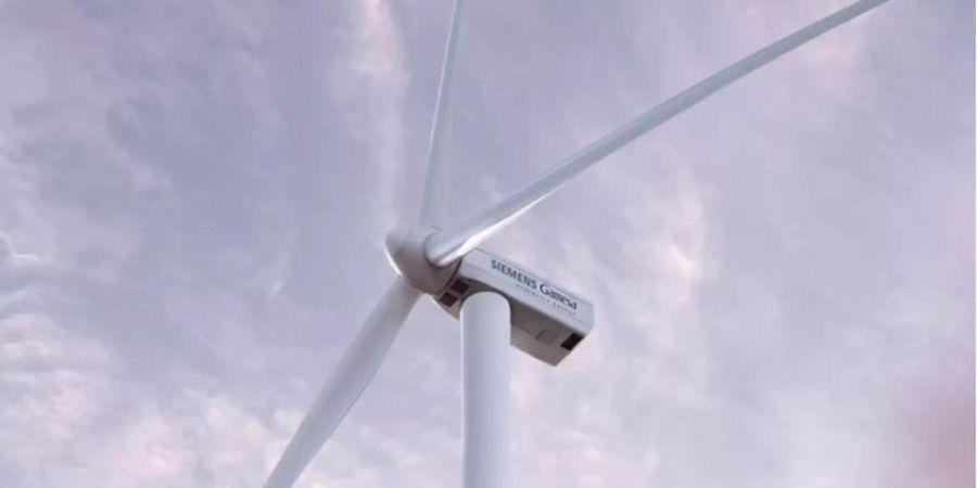 Siemens Gamesa Renewable Energy