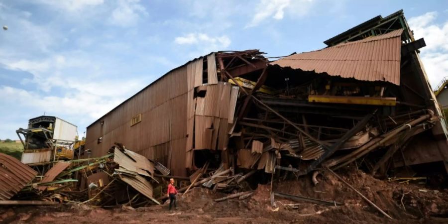 Suche nach Opfern in Brumadinho