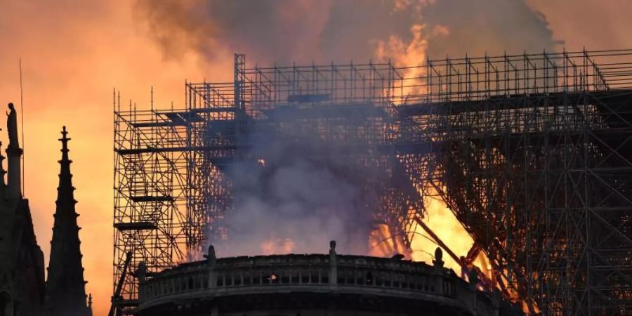 Notre Dame