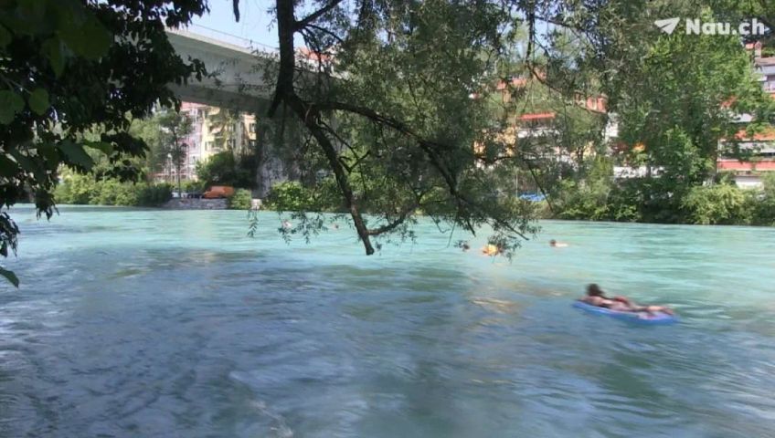 be-aare-umfrage