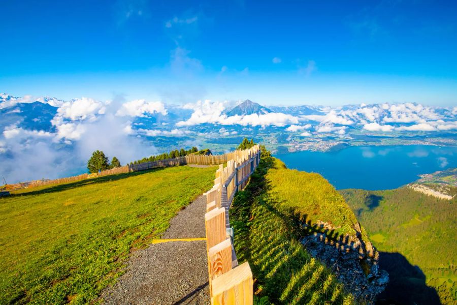 Niederhorn Gratweg