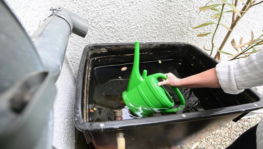 Regenwasser Bund Grüne Wasser