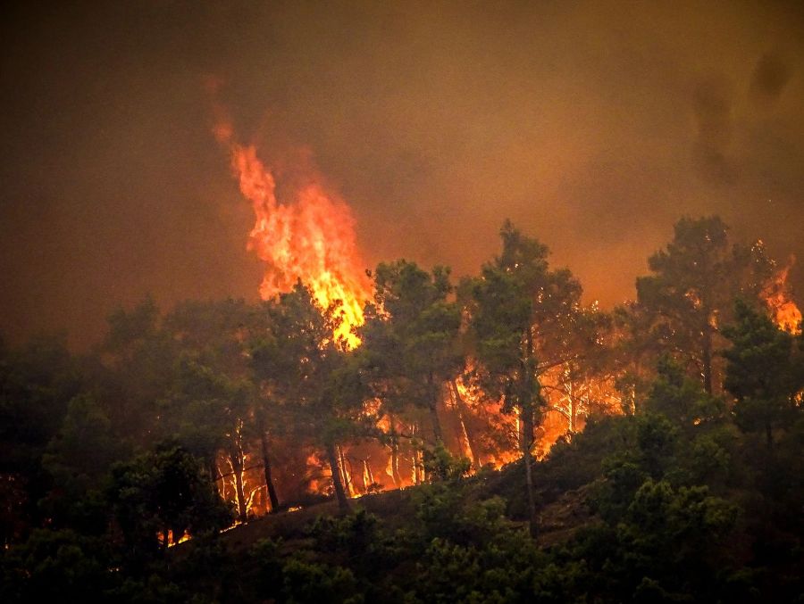 Flammen lodern auf der griechischen Insel Rhodos.