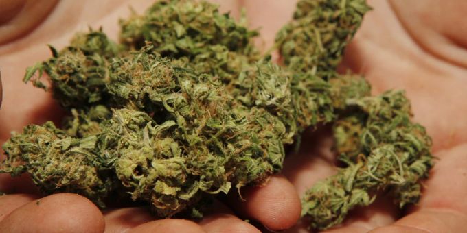 Bundesgericht - Cannabis für Eigenkonsum darf nicht eingezogen werden
