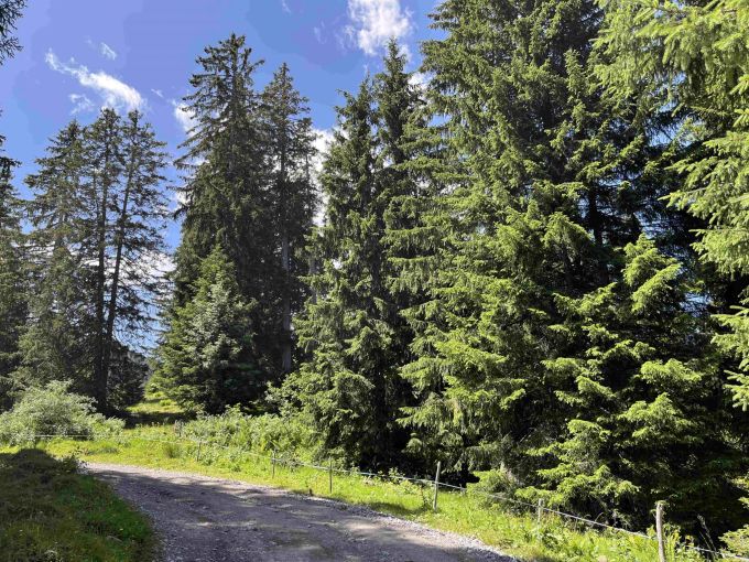 Gleitschirmunfall in Flumserberg Gleitschirmunfall in Flumserberg