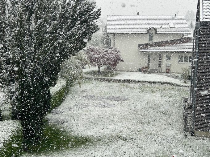So liegen selbst in Urdorf (ZH) einige Zentimeter Schnee. Schnee in Urdorf (ZH)