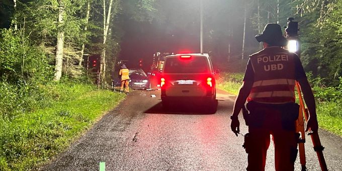Zwei Schwerverletzte - Auto kollidiert mit Baum in Rheinau ZH
