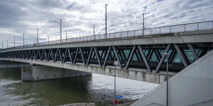 Im Jahr 2018 ereignete sich ein brutaler Mord an einem Obdachlosen an der Basler Dreirosenbrücke. Der Verurteilte steht nun wieder vor Gericht. obdachloser mord dreirosenbrücke täter