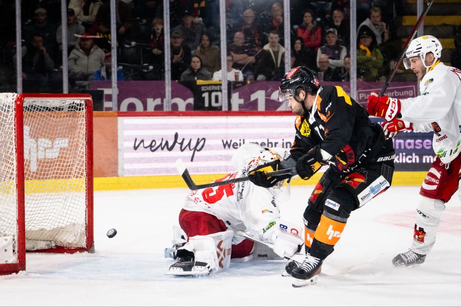 sc bern