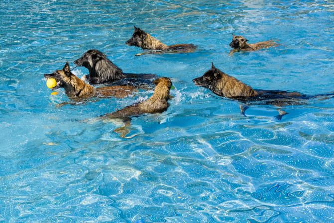 Winterthur Schwimmbad
