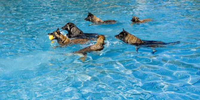 Winterthur Schwimmbad