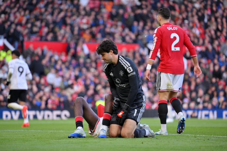 manchester united