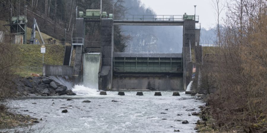Die Stauanlage Wichelsee erhält einen neuen Fischabstieg, der eine Höhendifferenz von neun Metern überwinden soll. (Archivaufnahme)