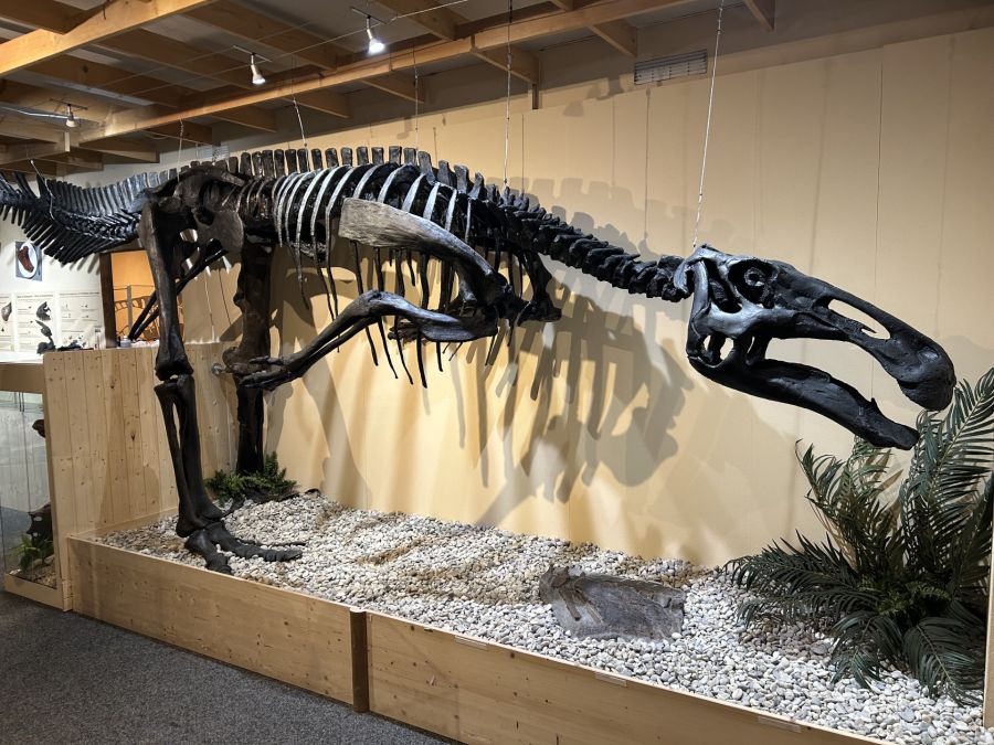 Sauriermuseum Bellach