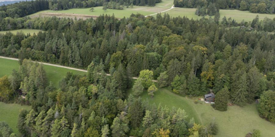 Windräder in der Nähe des Hagenturms bei Merishausen SH wird es in absehbarer Zeit nicht geben. Sie könnten militärische Anlagen in dem Gebiet stören. (Symbolbild)